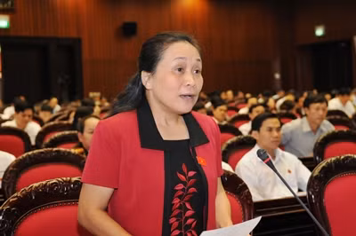ĐBQH Trương Thị Huệ ĐBQH Trương Thị Huệ
