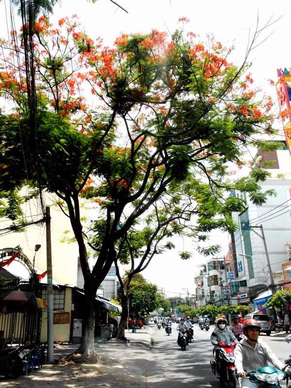 Những con đường trong thành phố đang nắng chói chang....