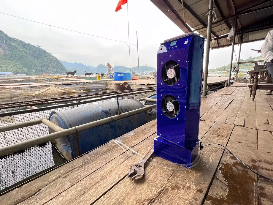 Sản phẩm khi được hoàn thiện. (Ảnh: NVCC) Sản phẩm khi được hoàn thiện. (Ảnh: NVCC)