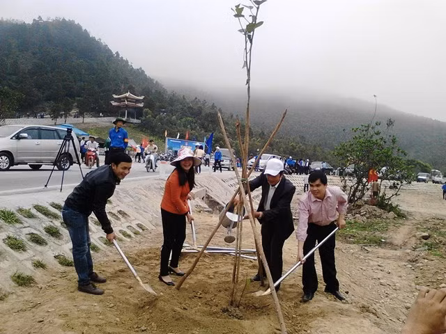3.500 cây phi lao chắn sóng dọc bờ biển, 120 cây báng được trồng thành hàng dọc tuyến đường dẫn lên khu mộ Đại tướng Võ Nguyên Giáp. Ảnh HH