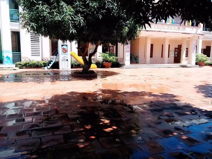 Trường tiểu học Nguyễn Văn Trỗi trả lại hàng trăm triệu đồng thu trái quy định ảnh 2 Trường tiểu học Nguyễn Văn Trỗi trả lại hàng trăm triệu đồng thu trái quy định ảnh 2