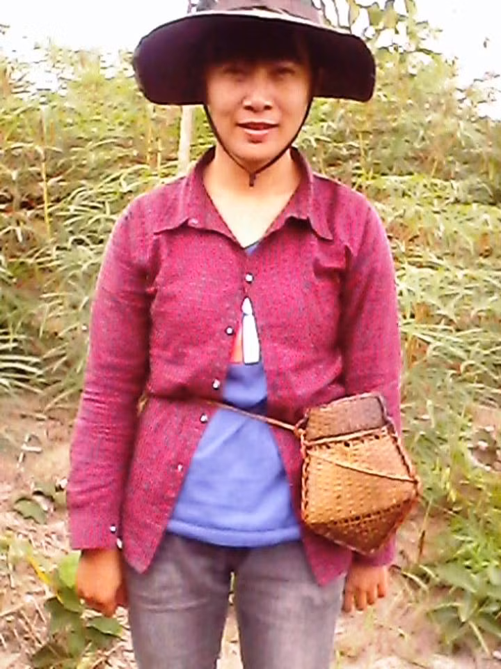 Cô Trần Kim Quế, giáo viên trường tiểu học Trung Lý 2 cho biết, vào mùa măng, thì vào rừng lấy măng và chế biến thành các món măng xào, măng luộc, măng nấu canh. Đến mùa dế, thì vào rừng đào dế. Mùa trứng kiến thì lên rừng đi tìm tổ. Ảnh: Xuân Quang.