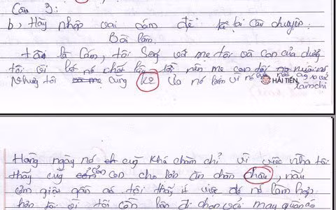 Bài làm của học sinh. Bài làm của học sinh.