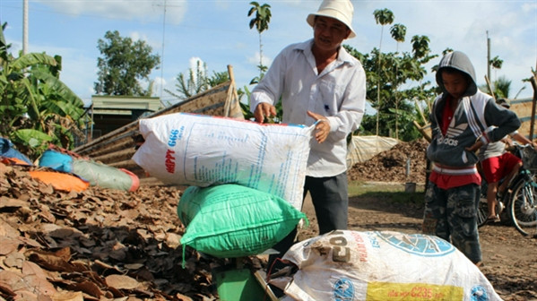 Điểm mua lá điều khô của bà Ngô Thị Hiếu ở xã Gia Canh, huyện Định Quán, Đồng Nai - Ảnh: Ngô Thiên Phúc