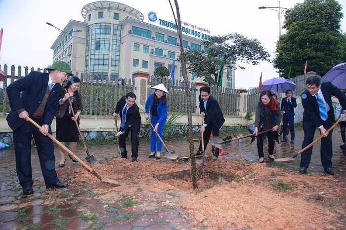 Chiến dịch “Tết trồng cây”.