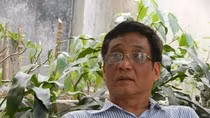 Quá nóng, quá lạnh đều mất ngủ, chỉ có heo may là yên giấc nồng! ảnh 3