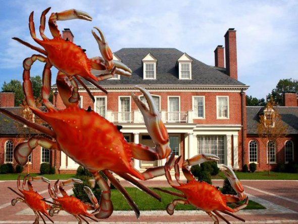 Người sáng lập Công ty Phillips Seafood, - ông Steve Phillips đã bán khu bất động sản ở Annapolis với giá 32 triệu USD. Ngôi nhà nằm trên khu đất rộng 23 mẫu Anh và được xây dựng hồi năm 1922. Người sáng lập Công ty Phillips Seafood, - ông Steve Phillips đã bán khu bất động sản ở Annapolis với giá 32 triệu USD. Ngôi nhà nằm trên khu đất rộng 23 mẫu Anh và được xây dựng hồi năm 1922.