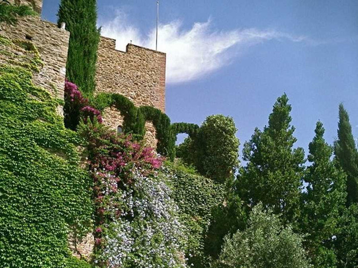 Lâu đài có 8 phòng tắm, 8 phòng ngủ và tọa lạc tren khu đất rộng 100.000 m2