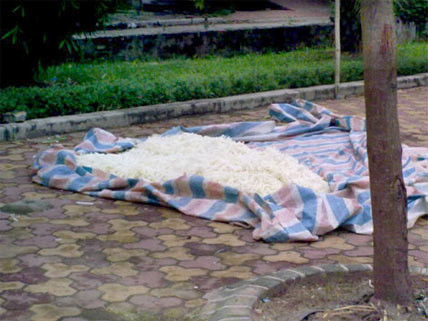 Nguyên liệu làm bánh được phơi trần trụi ngoài đường.