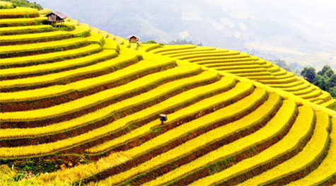 Đi du lịch và tận hưởng sắc thu vàng 2011 là sự lựa chọn của nhiều du khách. Đi du lịch và tận hưởng sắc thu vàng 2011 là sự lựa chọn của nhiều du khách.