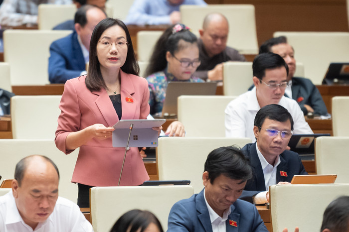 Đại biểu Đỗ Thị Việt Hà - Đoàn đại biểu Quốc hội tỉnh Bắc Giang. Ảnh: quochoi.vn. Đại biểu Đỗ Thị Việt Hà - Đoàn đại biểu Quốc hội tỉnh Bắc Giang. Ảnh: quochoi.vn.