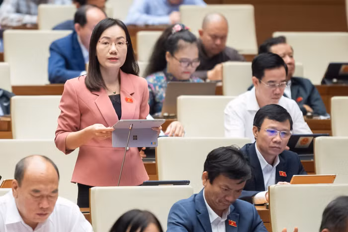 Đại biểu Đỗ Thị Việt Hà - Đoàn đại biểu Quốc hội tỉnh Bắc Giang. Ảnh: quochoi.vn.