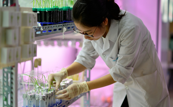 Nghiên cứu tại phòng lab hiện đại. Ảnh: NTCC