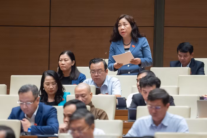 Đại biểu Trần Thị Hiền - Đoàn đại biểu Quốc hội tỉnh Hà Nam. Ảnh: quochoi.vn.