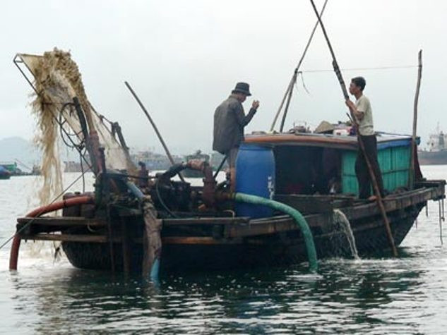 Tên Dũng đã mua thuyền để thu gom than lậu, thiết lập lãnh địa riêng (ảnh minh họa) Tên Dũng đã mua thuyền để thu gom than lậu, thiết lập lãnh địa riêng (ảnh minh họa)