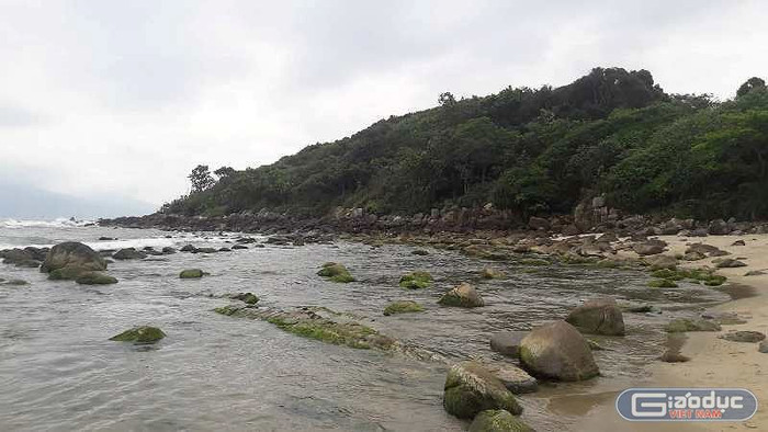 Ghềnh đá Nam Ô sẽ chỉnh trang lại, giữ nguyên rừng cây hiện trạng, tạo lối đi bộ, chỗ dừng chân và nơi cầu nguyện tâm linh cho khách tham quan. Ảnh: TT Ghềnh đá Nam Ô sẽ chỉnh trang lại, giữ nguyên rừng cây hiện trạng, tạo lối đi bộ, chỗ dừng chân và nơi cầu nguyện tâm linh cho khách tham quan. Ảnh: TT