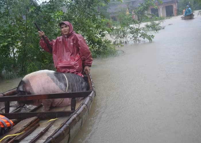 Đợt mưa lũ vừa qua gây thiệt hại nặng nề cho các tỉnh miền Trung - Tây Nguyên (Ảnh: AN)