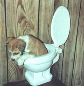 Bồn tắm tự động Bồn tắm tự động