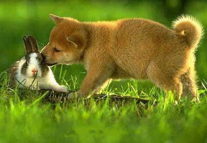 Cho anh thơm một cái nhé Cho anh thơm một cái nhé