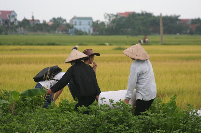 Niềm vui mang những thành phẩm về nhà