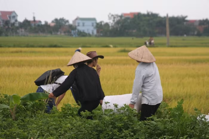 Niềm vui mang những thành phẩm về nhà
