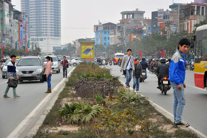 Dải phân cách làn đường chưa có hàng rào tạo cơ hội cho mọi người sang đường tự phát bất kì chỗ nào