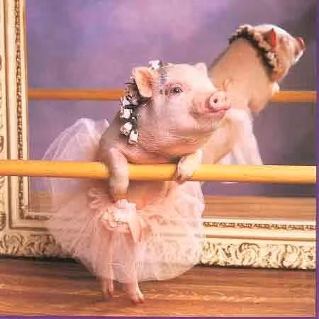 Cười chu mỏ đáng yêu.