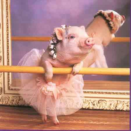 Cười chu mỏ đáng yêu.