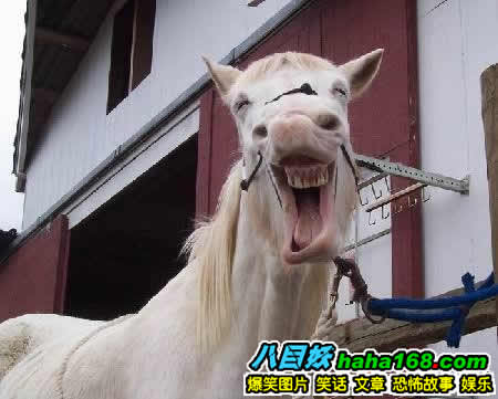 Cười sướng đến méo cả mồm.