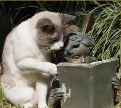 Cho đọc ké với!!! Cho đọc ké với!!!