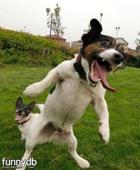 Cười dọa người.