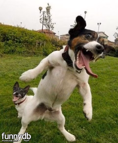 Cười dọa người.