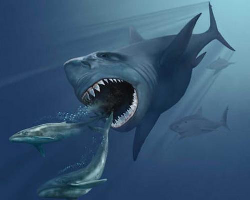 Đây là loài cá mập Carcharocles megalodon khổng lồ dài gần 16m với bộ hàm đủ lớn để nuốt chửng một con tê giác. Loài này sống cách đây khoảng 1,5 triệu năm. Một số người tin rằng chúng vẫn còn sống ẩn lấp đâu đó dưới đáy đại dương sâu nhất mặc dù chưa có bằng chứng chính xác về điều này. Đây là loài cá mập Carcharocles megalodon khổng lồ dài gần 16m với bộ hàm đủ lớn để nuốt chửng một con tê giác. Loài này sống cách đây khoảng 1,5 triệu năm. Một số người tin rằng chúng vẫn còn sống ẩn lấp đâu đó dưới đáy đại dương sâu nhất mặc dù chưa có bằng chứng chính xác về điều này.