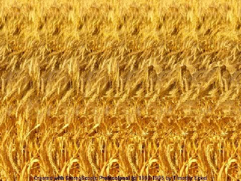 8. Đại bàng đang xà cánh