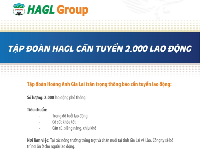 Chủ tịch ngân hàng BIDV: Hoàng Anh Gia Lai vay trả sòng phẳng ảnh 2 Chủ tịch ngân hàng BIDV: Hoàng Anh Gia Lai vay trả sòng phẳng ảnh 2