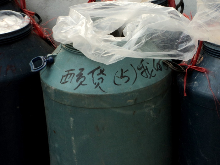 Trên những thùng nhựa này còn viết cả chữ lạ.
