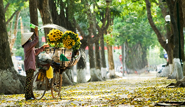 Người bán hoa trên đường Phan Đình Phùng. Người bán hoa trên đường Phan Đình Phùng.