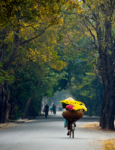 Một người bán hoa trên con đường Yên Phụ Một người bán hoa trên con đường Yên Phụ