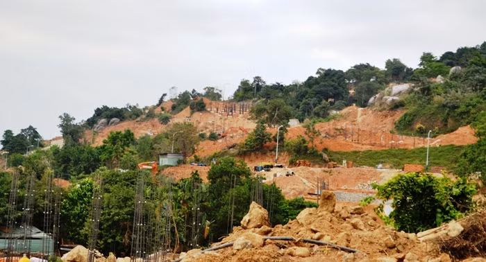 Sở du lịch Đà Nẵng phủ nhận ý kiến của Hiệp hội du lịch về bán đảo Sơn Trà ảnh 2