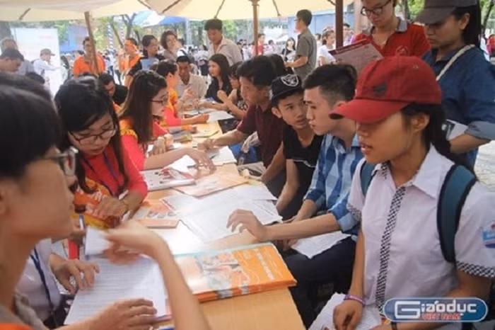 Năm 2019, tổ hợp D01 đứng đầu về số nguyện vọng