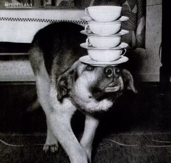 Mình phục mình quá!