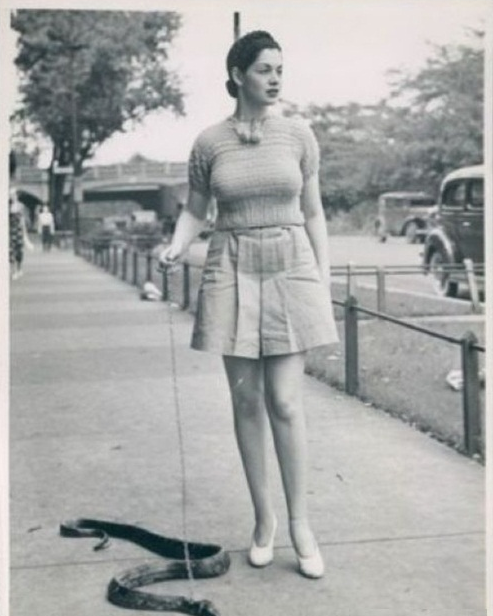 "Thú cưng" của chị đấy