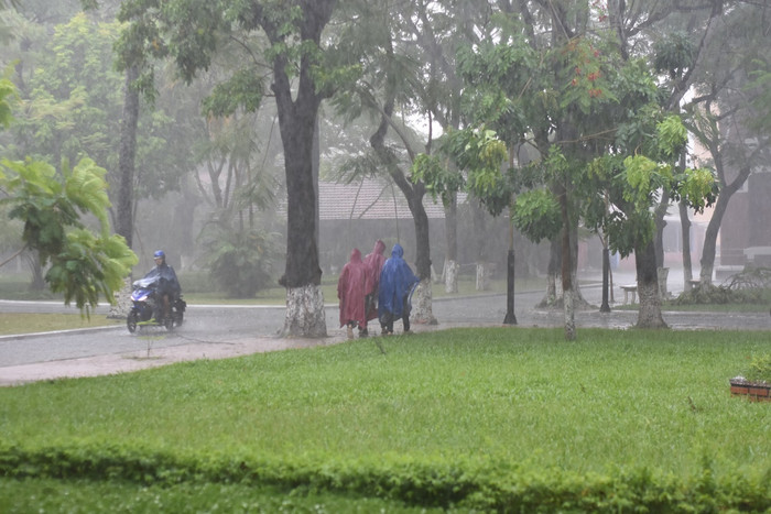 Thí sinh ra về trong cơn mưa tầm tã. Ảnh: TL