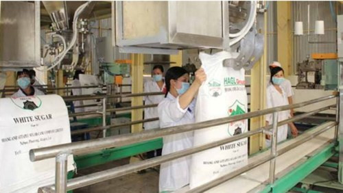 Sản phẩm mía đường Hoàng Anh Gia Lai có giá rẻ hơn giá mía đường trong nước - ảnh nguồn: Tập đoàn Hoàng Anh Gia Lai Sản phẩm mía đường Hoàng Anh Gia Lai có giá rẻ hơn giá mía đường trong nước - ảnh nguồn: Tập đoàn Hoàng Anh Gia Lai