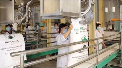 Sản phẩm mía đường Hoàng Anh Gia Lai có giá rẻ hơn giá mía đường trong nước - ảnh nguồn: Tập đoàn Hoàng Anh Gia Lai