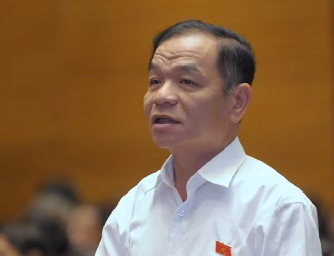 Đại biểu Quốc hội Lê Thanh Vân đoàn Cà Mau (ảnh quochoi.vn).