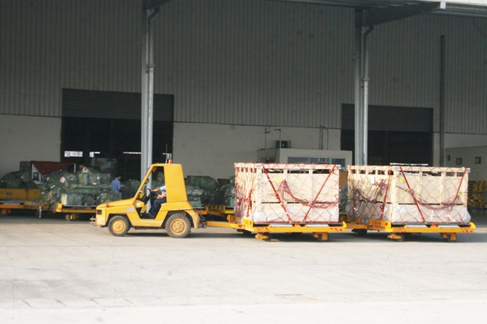 Các "cô bò" được đưa vào các kiện hàng đóng bằng gỗ với lưới bảo vệ xung quanh.