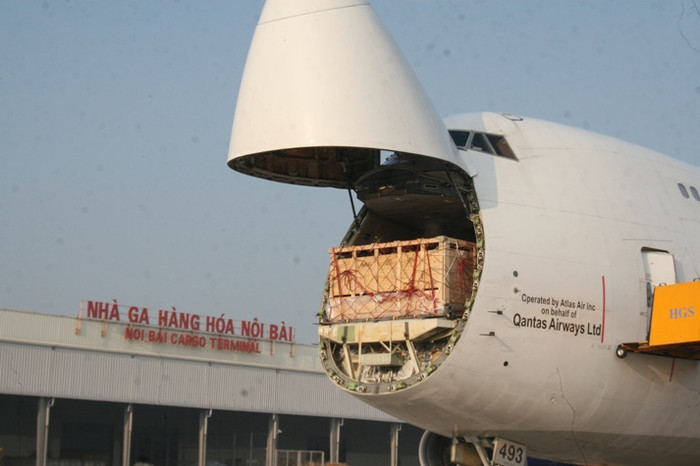 Sau khi hạ cánh các khoang chở "cô bò" được mở ra để tạo không khí thoáng đãng.