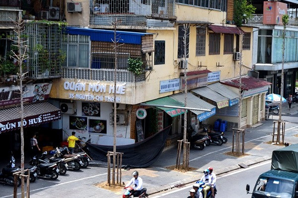 Hàng cây mỡ trơ trụi sau 3 tháng trồng đối diện hồ Ngọc Khánh. (Ảnh Vietnamnet.vn) Hàng cây mỡ trơ trụi sau 3 tháng trồng đối diện hồ Ngọc Khánh. (Ảnh Vietnamnet.vn)