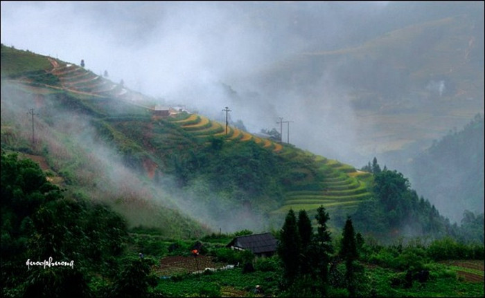 Ẩn hiện trong khói, trong sương